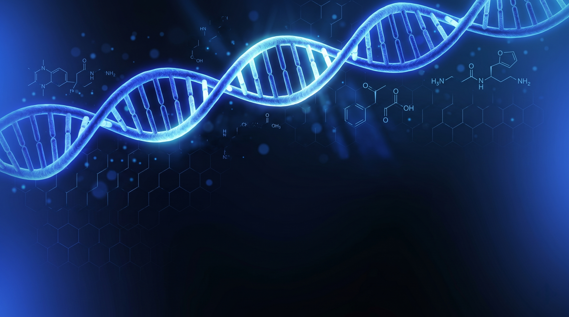 Your Research Starts Here